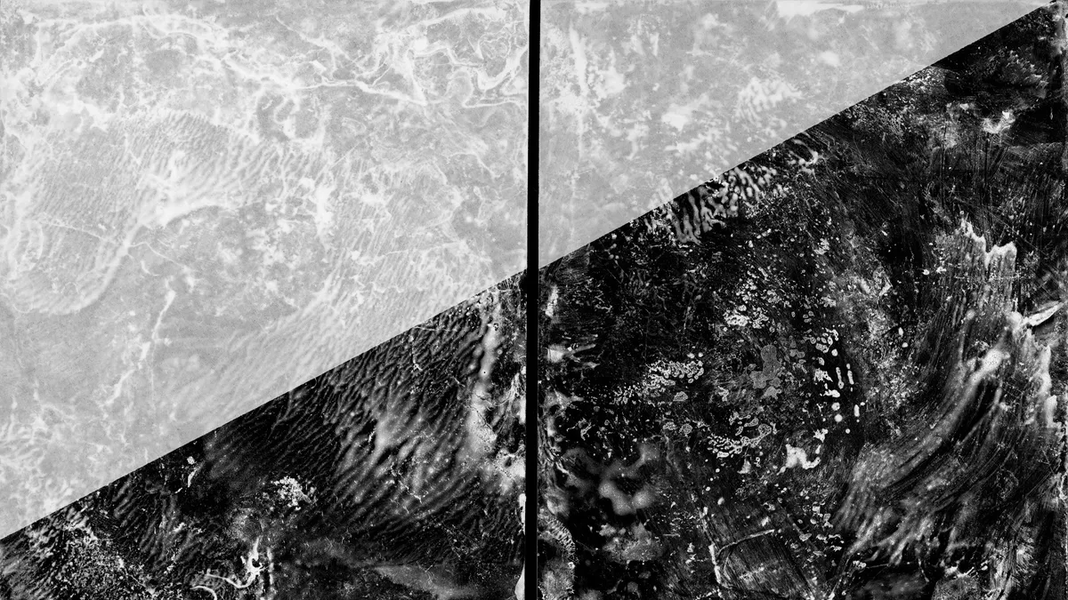 Claire A. Warden banner