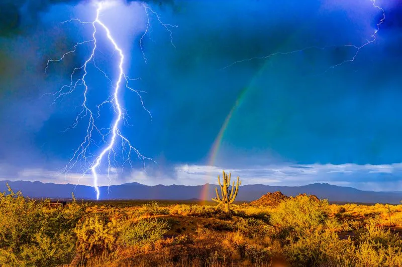 The Majestic Monsoon — image 1 of 6