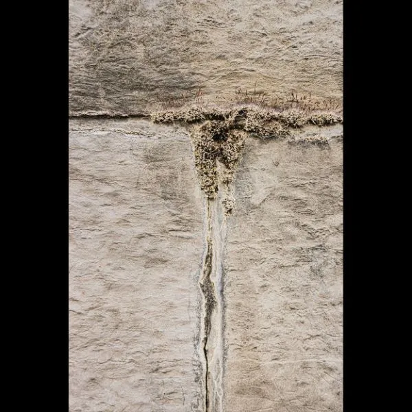 Weeping — image 1 of 1