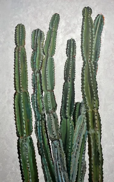 Cactus in White #4 — image 1 of 1