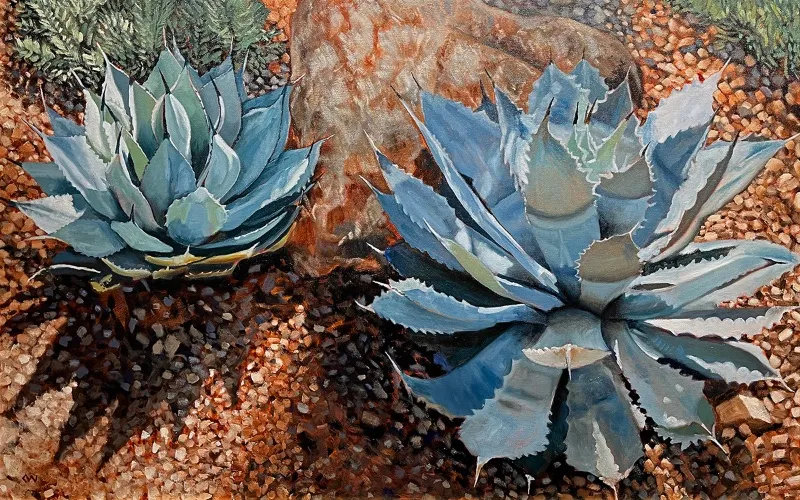 Two Agaves in the Sun — image 1 of 1