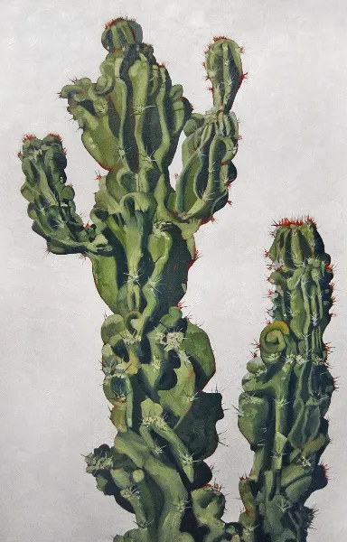 Cactus in White #2 — image 1 of 1