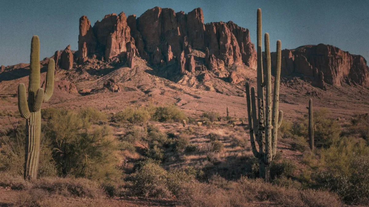 Avery Out West banner