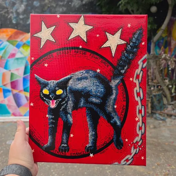 Sabo Cat — image 1 of 2