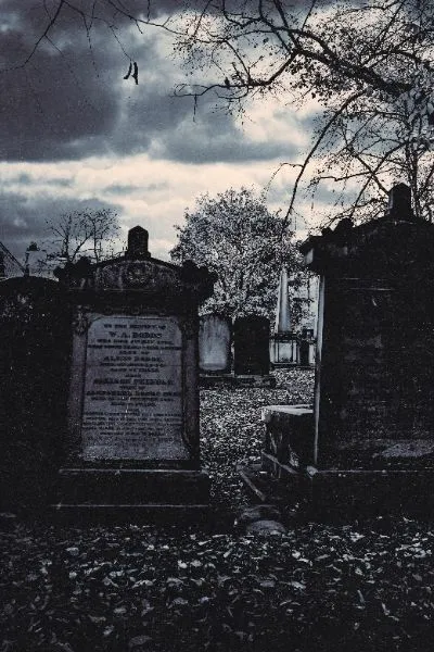Greyfriars Kirkyard — image 1 of 1
