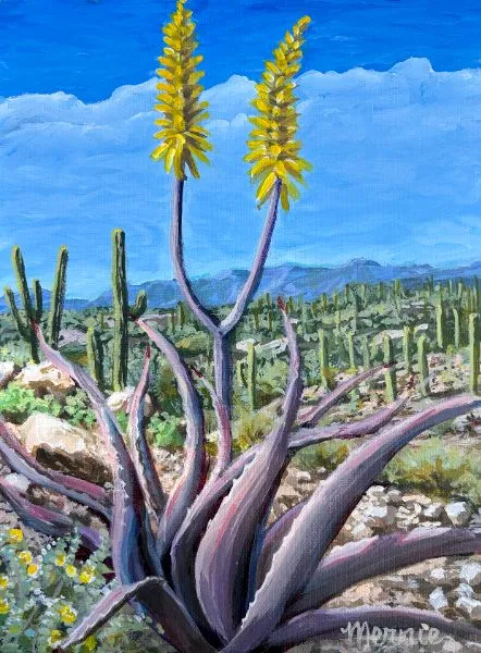 Aloe Agave — image 1 of 1