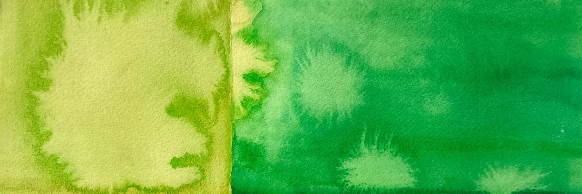 Ann Tracy banner