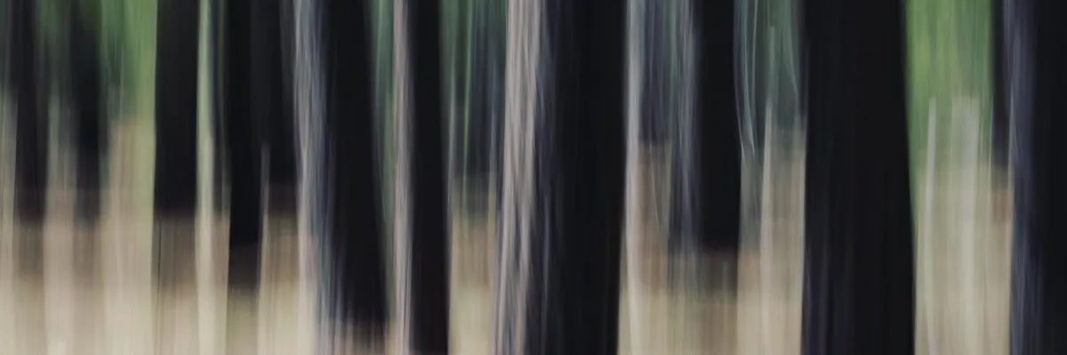 Joanna Proffitt banner