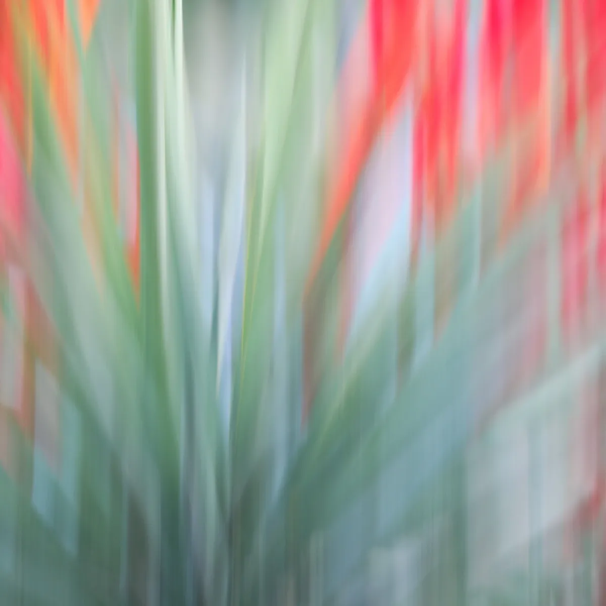 Emerge — image 1 of 1