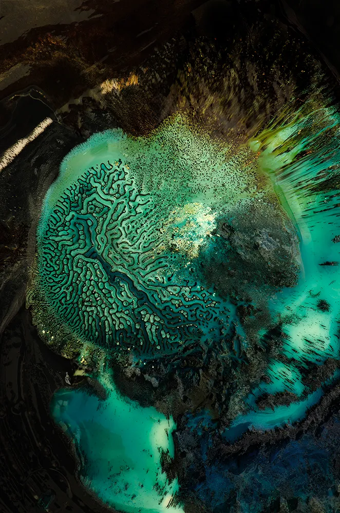 North 53 — image 1 of 1