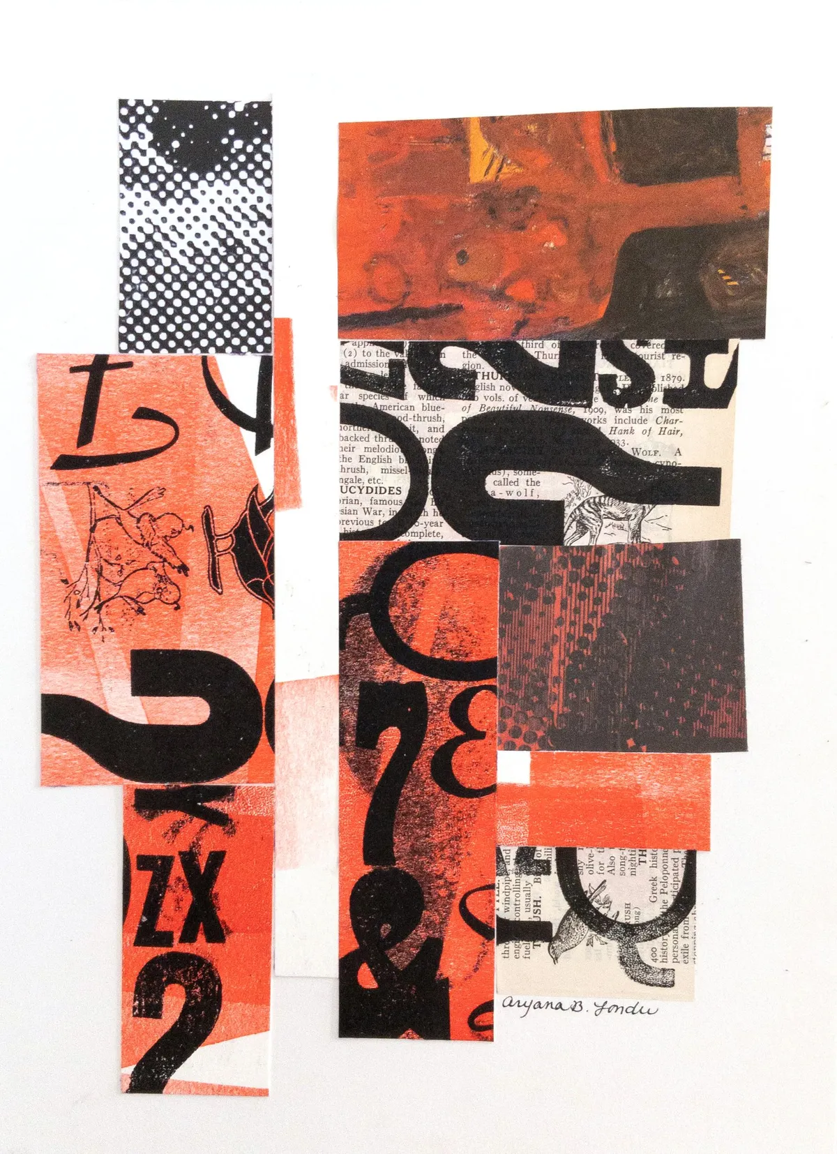 Crimson Questions — image 1 of 1