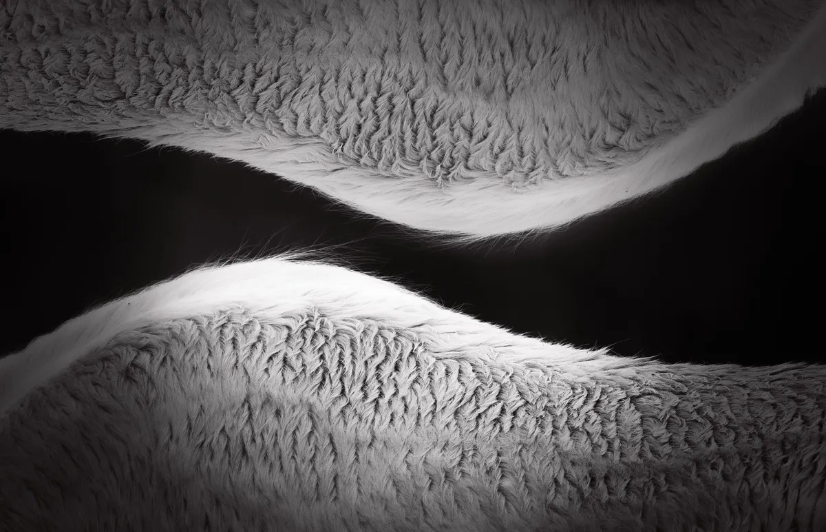 TEXTURED — image 1 of 1