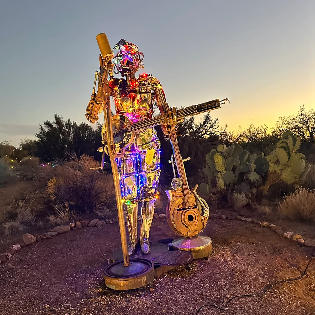 The Banjo Woman — image 1 of 1