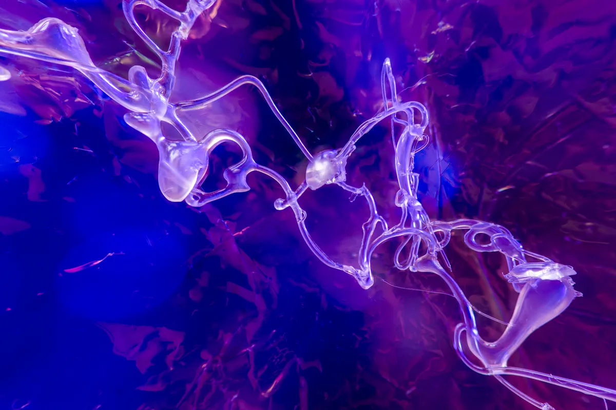String Theory — image 1 of 9