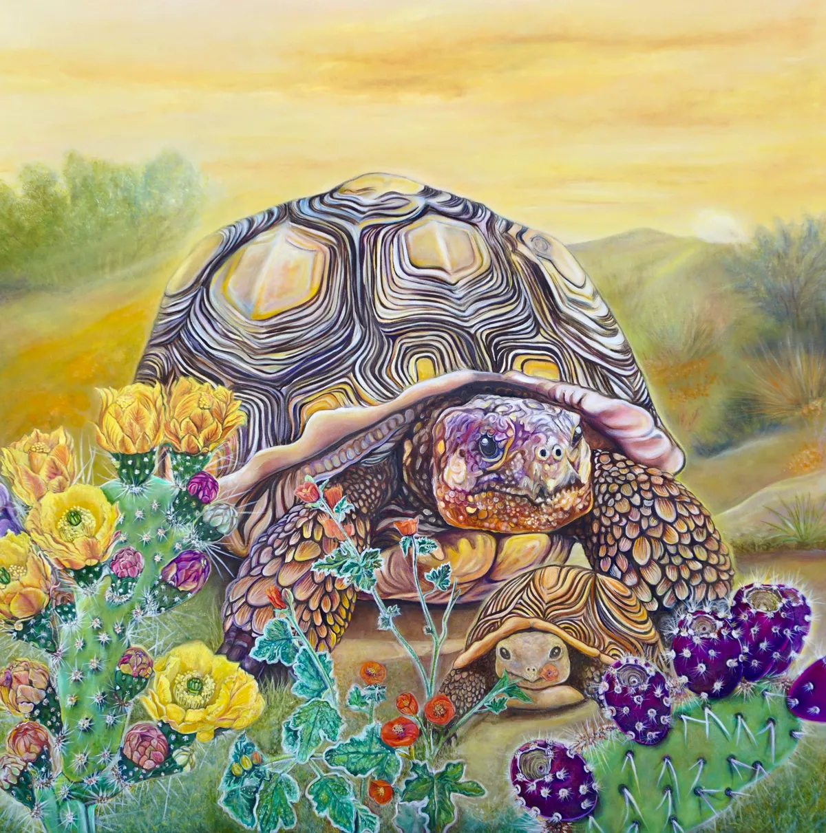 Fauna of Love: Cute Desert Turtles — image 1 of 1