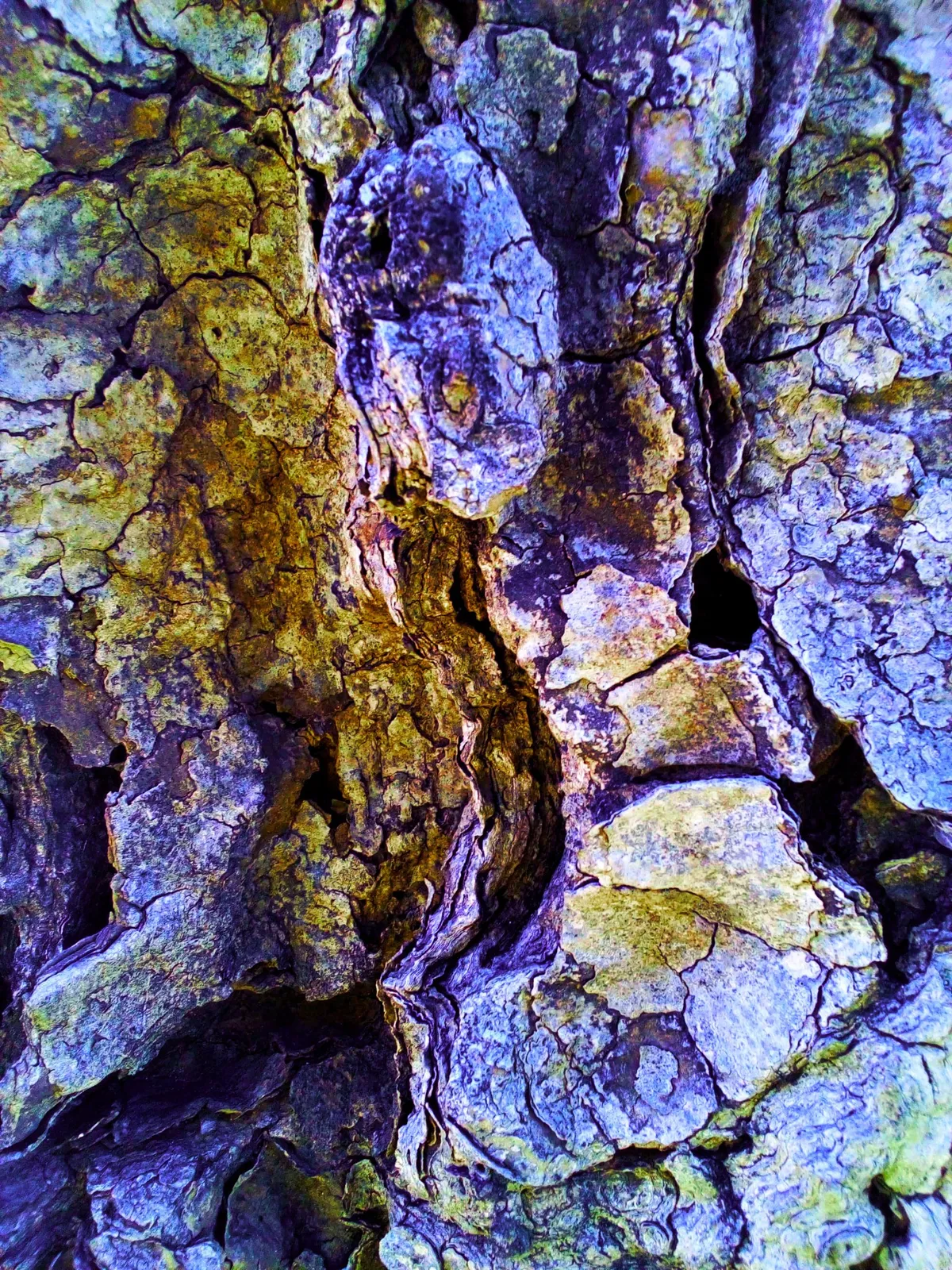 decay is beautyful — image 1 of 9