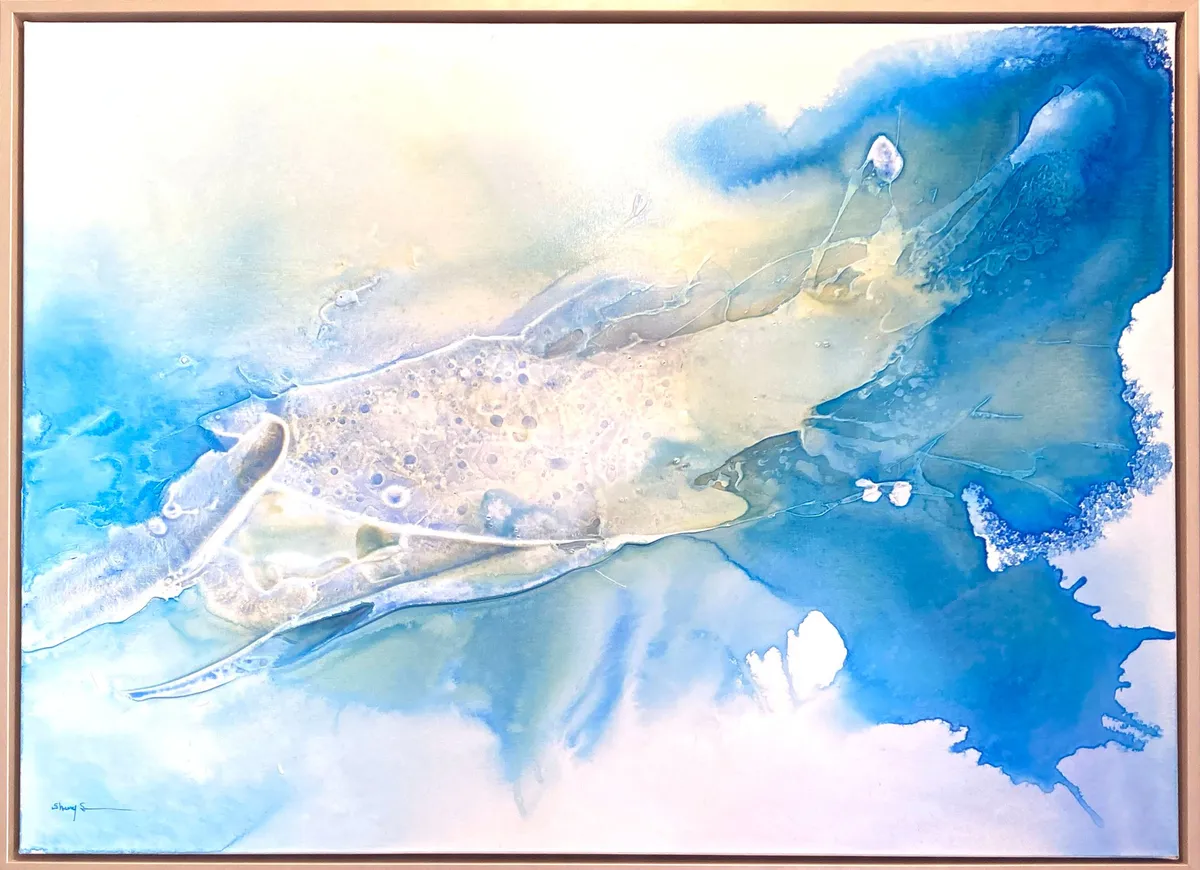 Solo Exhibition: Sheery Sharabaika @ Richau & Co gallery photo 1