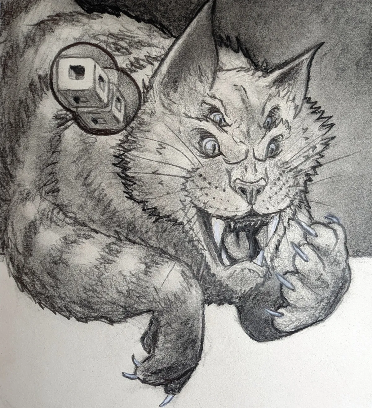 Cat — image 1 of 3