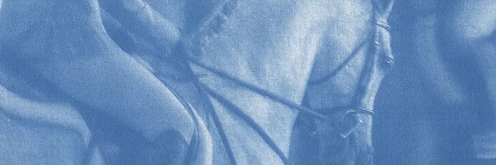 Jennifer Williamson banner