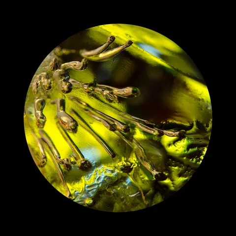 Exoplanet #025