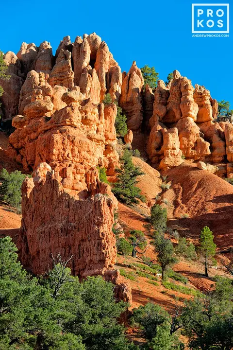 Red Canyon Landscape III