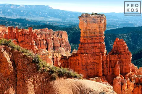 Bryce Point Landscape II