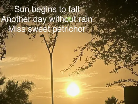 Summer Sunset