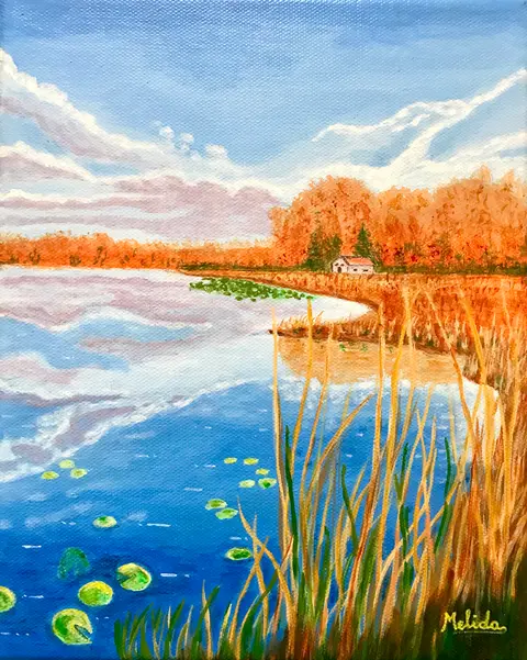Sky Reflections