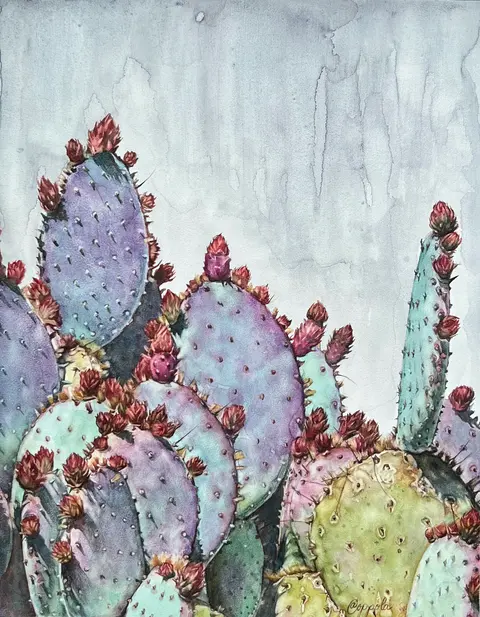 Santa Rita Prickly Pear