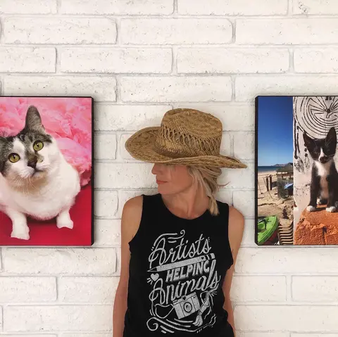 Meow PHX