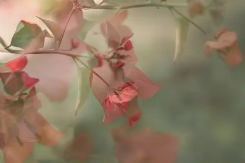 Reaching Towards