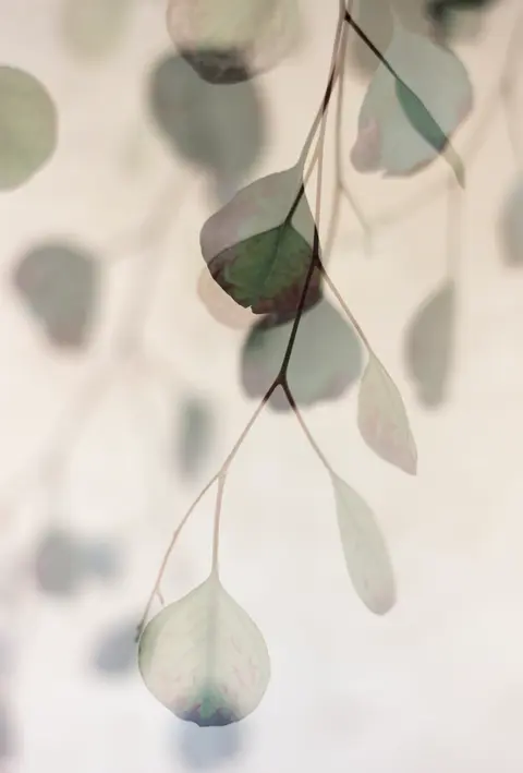 Emerging