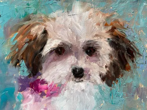Workshop: Pet Portraits with Sue Hunter gallery photo 2