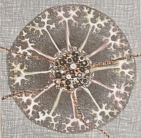Squaring The Circle, solo exhibit by Marlys Kubicek gallery photo 2