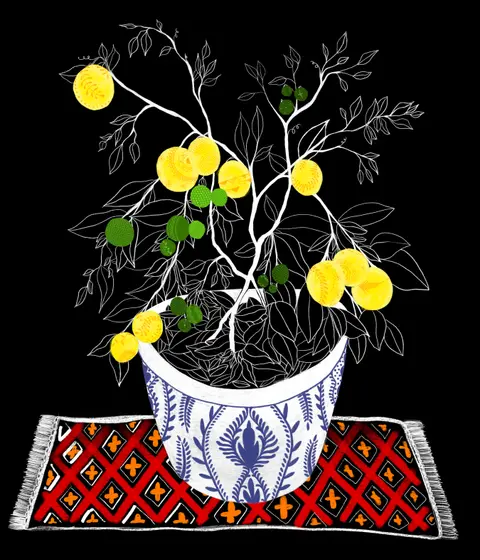 Sally's Lemon Tree