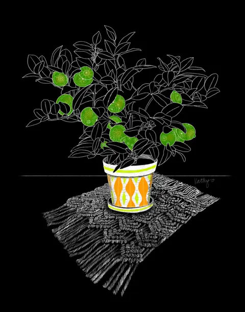 Boho Lime Tree