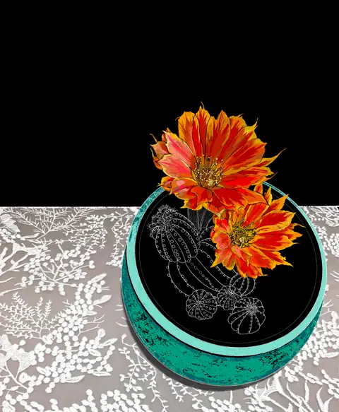 Le Cactus