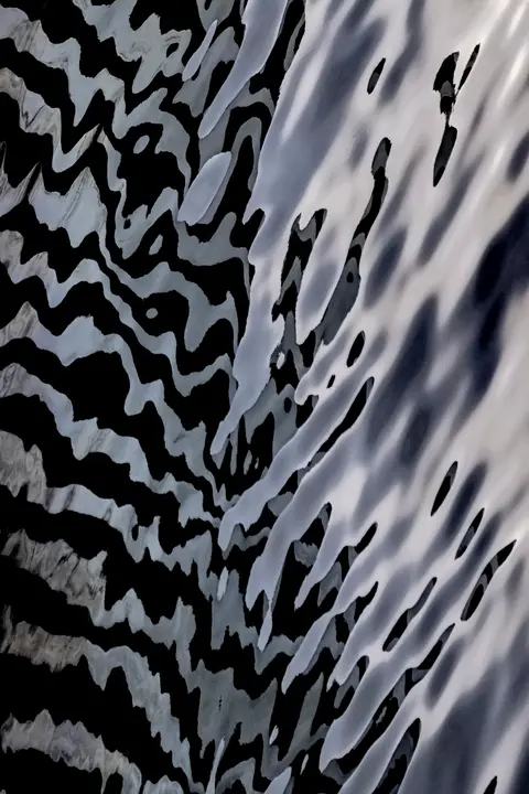Spirit of the Wild