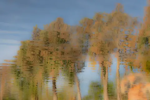 A Reflection on Autumn