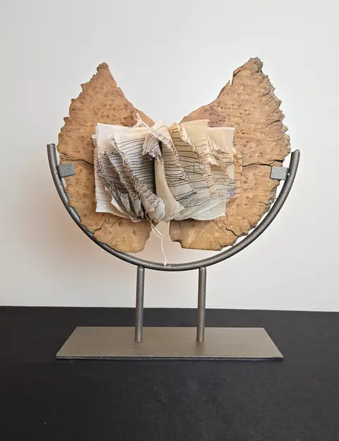 Shared Lives: David Lloyd Bradley & Tess Mosko Scherer gallery photo 3