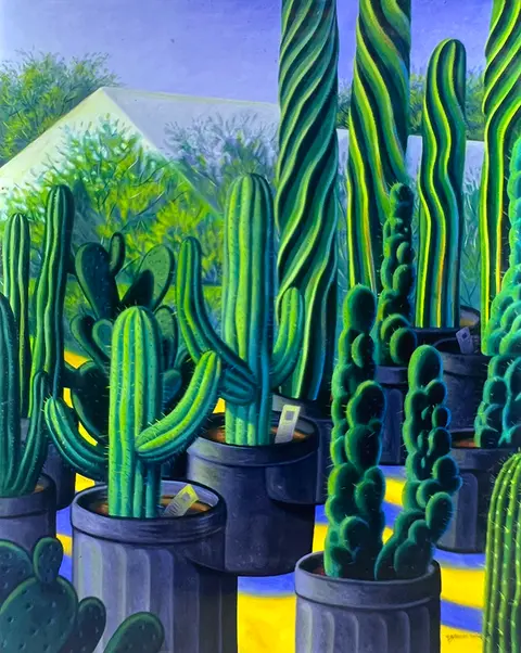 Succulents for Sale