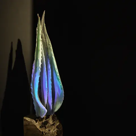 ILLUMINATE gallery photo 3