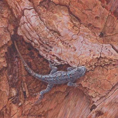 Society of Animal Artists presents: A Boundless World gallery photo 2