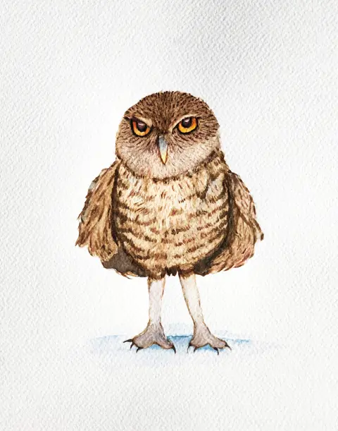 Owl 2