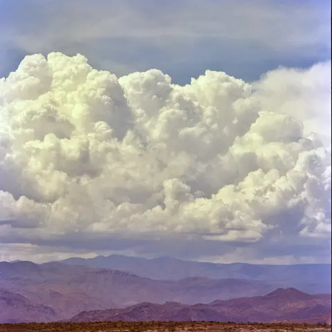 Steve Weiss