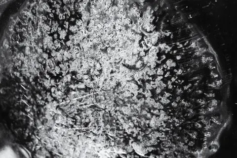 Surface #3