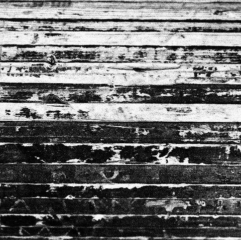Lines of Time