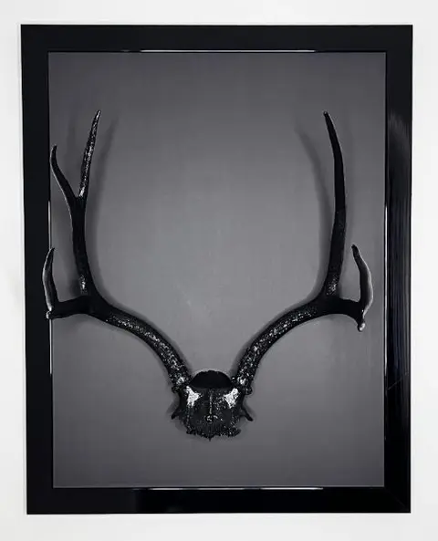 Obsidian Spirit