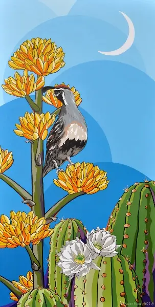 Desert Quail