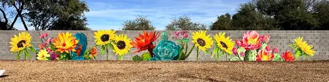 My Succulent Garden